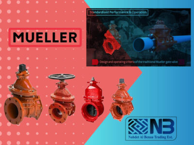 Mueller Valves